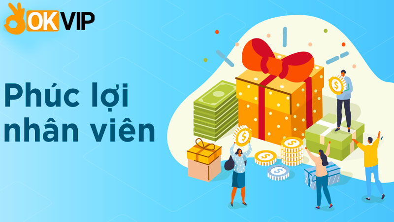 Phúc lợi nhân viên Leader SEO tại OKVIP